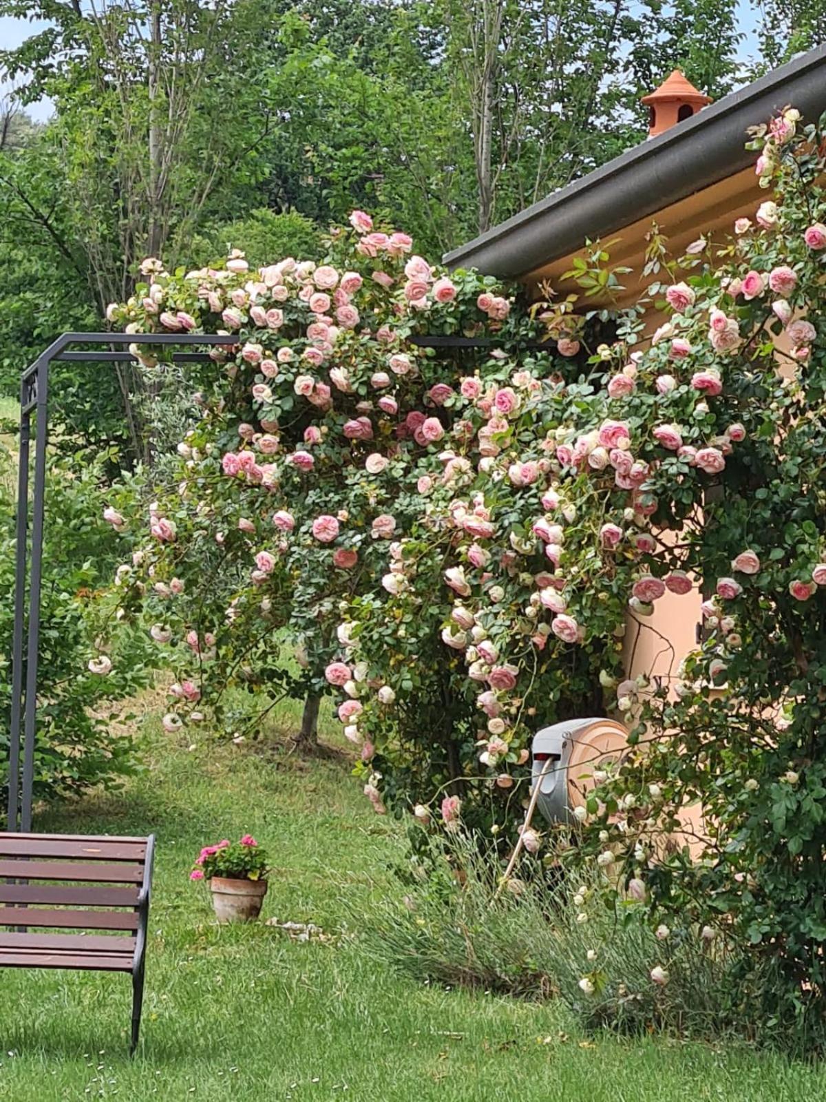 B&B Rosaverde Mulazzano Экстерьер фото